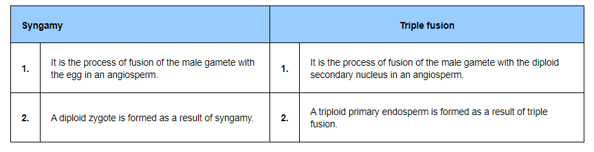 (iv) Syngamy and triple fusion12