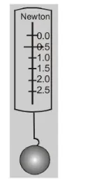 A force can deform an object.1