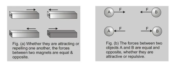NEWTON'S THIRD LAW OF MOTION1