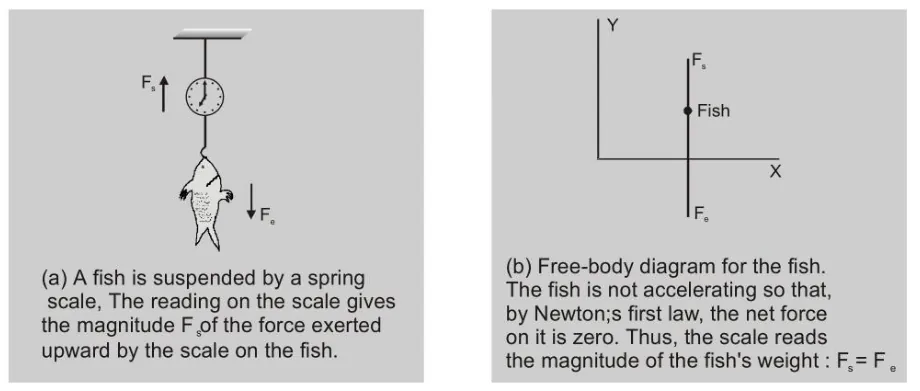 Newton's first law of motion
