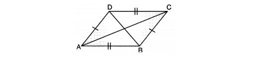 Quadrilateral image 3
