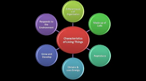Life Process Notes Class 10